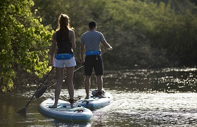 things to do cape cod